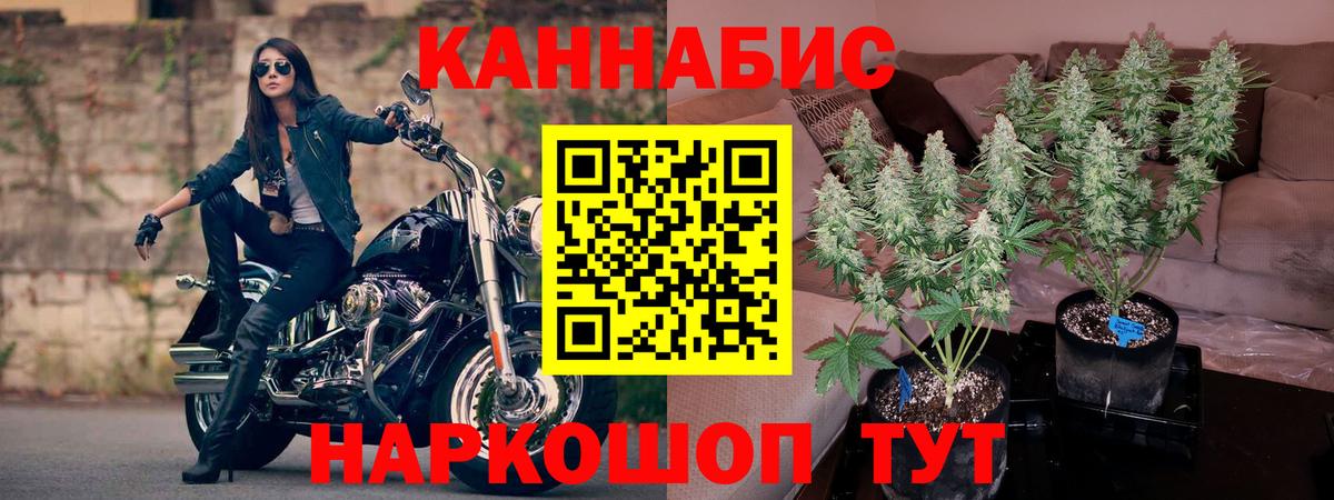 Каннабис марихуана Нижнеудинск